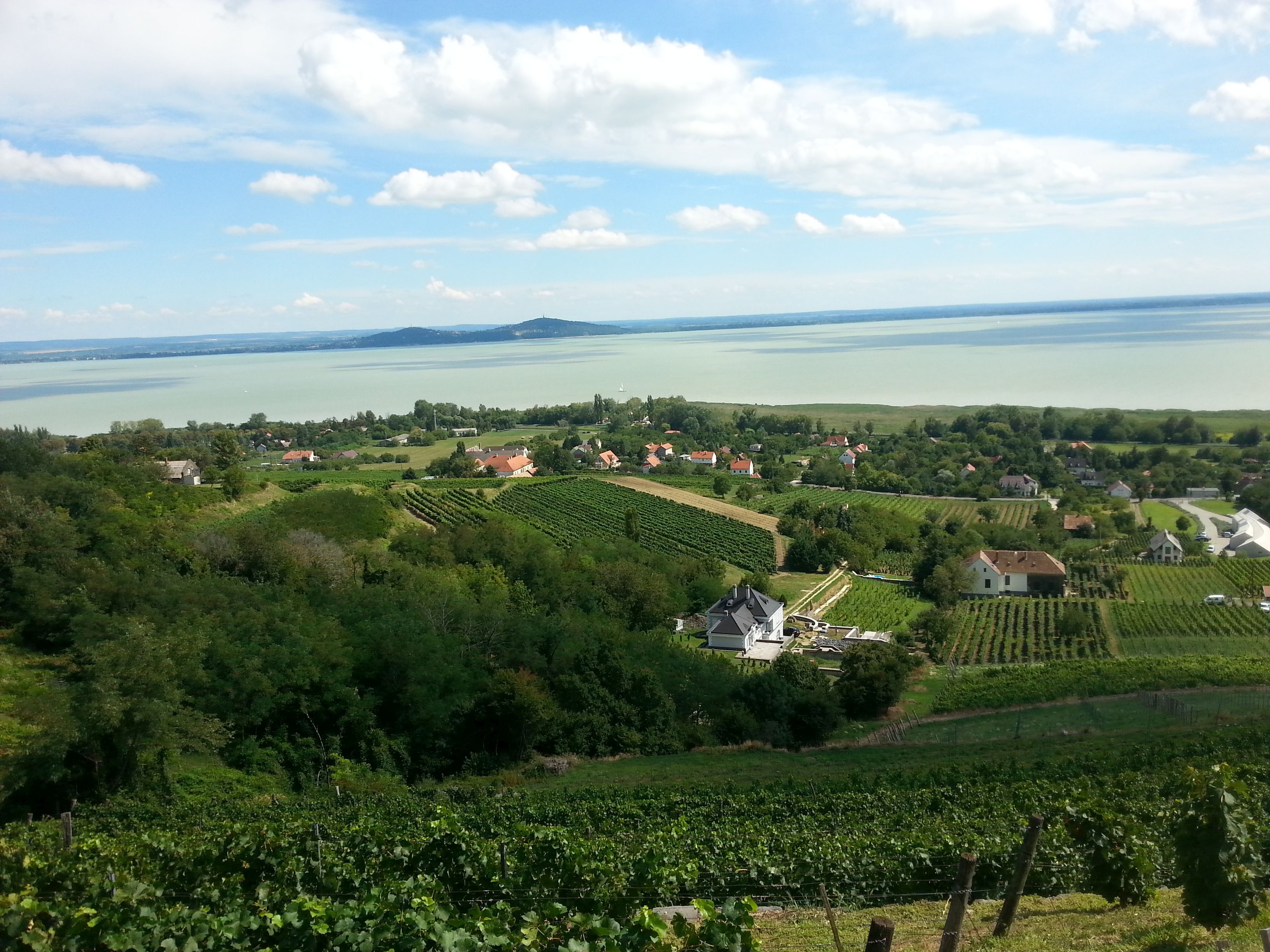 Badacsony, Hungary, Laposa Winery