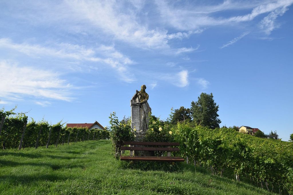 South Styria vineyards
