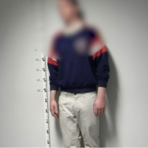 Murder case in Budapest